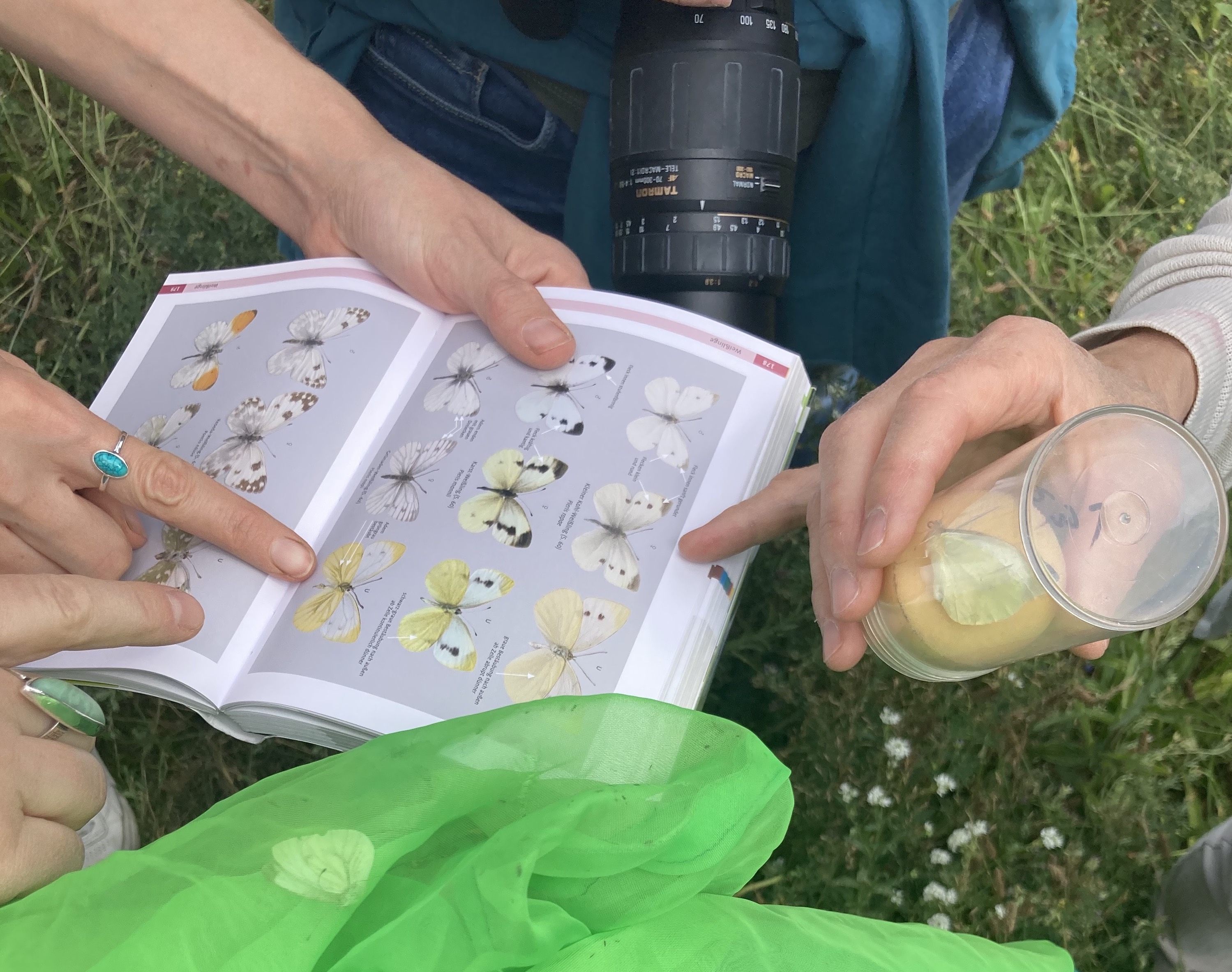 Gemeinsamer Start in die Schmetterlingssaison