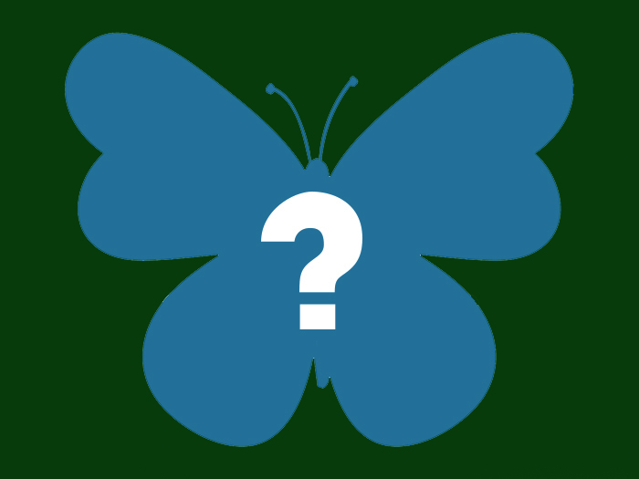 Unbekannt Blau (Farbe)