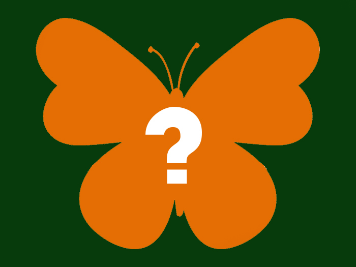 Unbekannt Orange (Farbe)